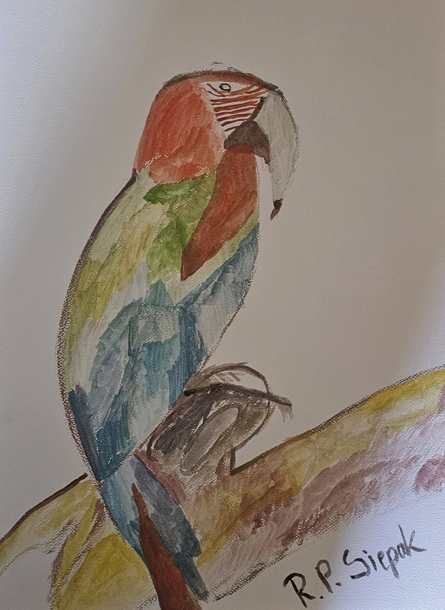 Denzel, Watercolor, artist: R. P. Siepak, artist username: siepak, produced: April 2025, acquired by: Paulinka, location: Poland, as: Gift, size: 29x42 cm, inspired by: Mother Nature